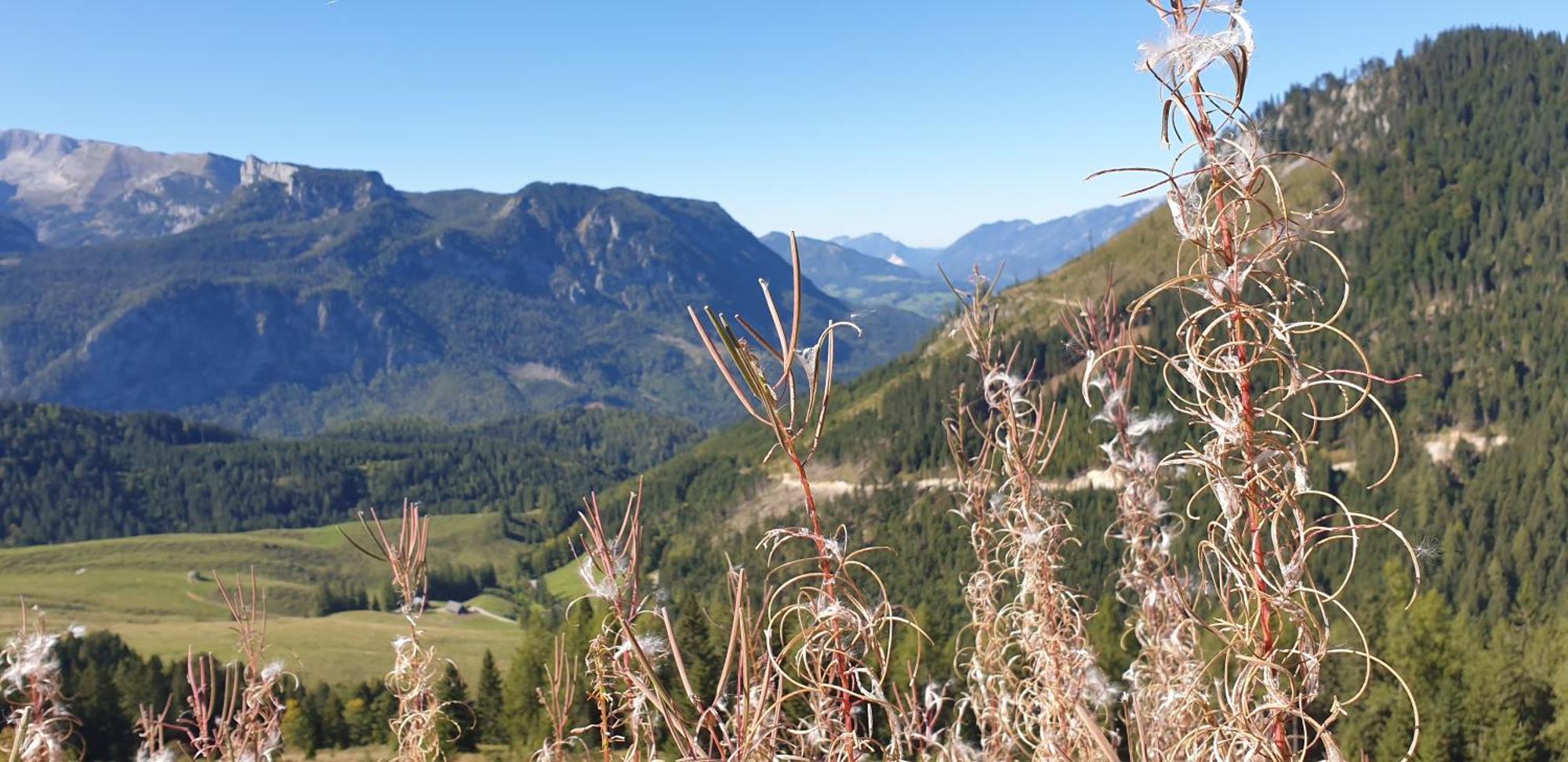Ferienhaus Mountain View Spital Am Pyhrn Exteriör bild