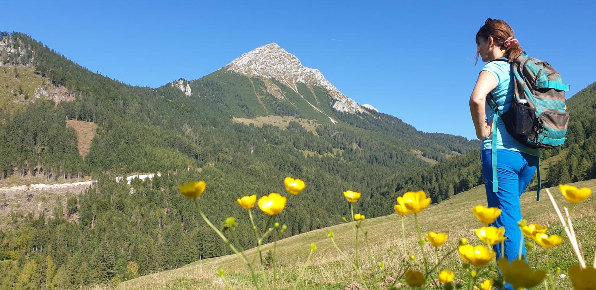 Ferienhaus Mountain View Spital Am Pyhrn Exteriör bild