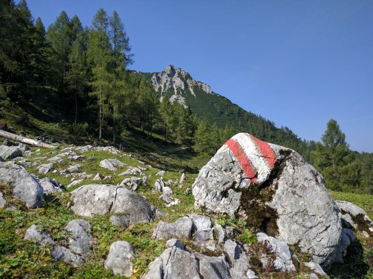 Ferienhaus Mountain View Spital Am Pyhrn Exteriör bild