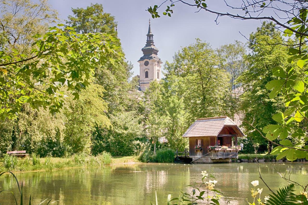 Ferienhaus Mountain View Spital Am Pyhrn Exteriör bild